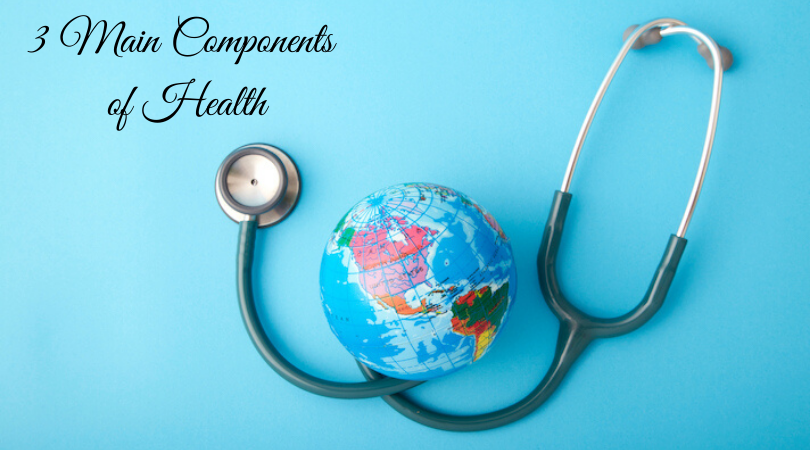 3 Main Components of Health